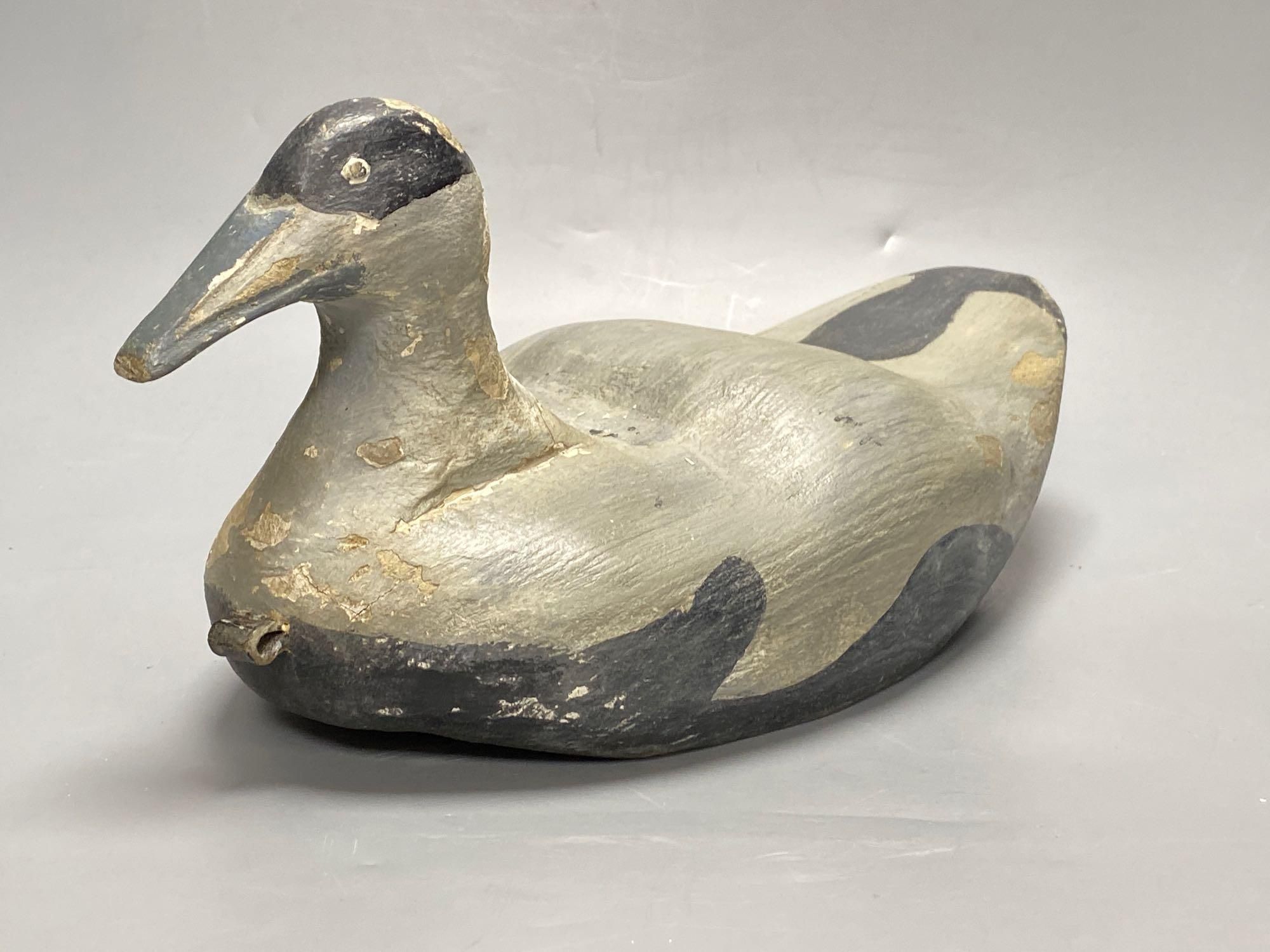 An American Eider decoy duck, length 39cm